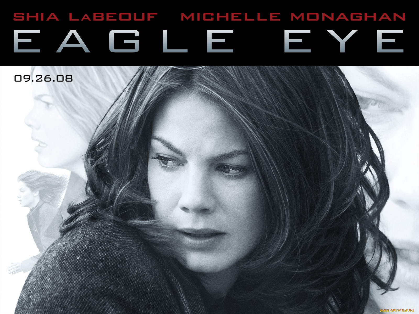 eagle, eye, , 